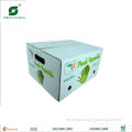 BANANA BOX|DRY FRUIT BOX|CARDBOARD BOX FOR FRUIT|FRUIT BOX FP100018,BANANA BOX